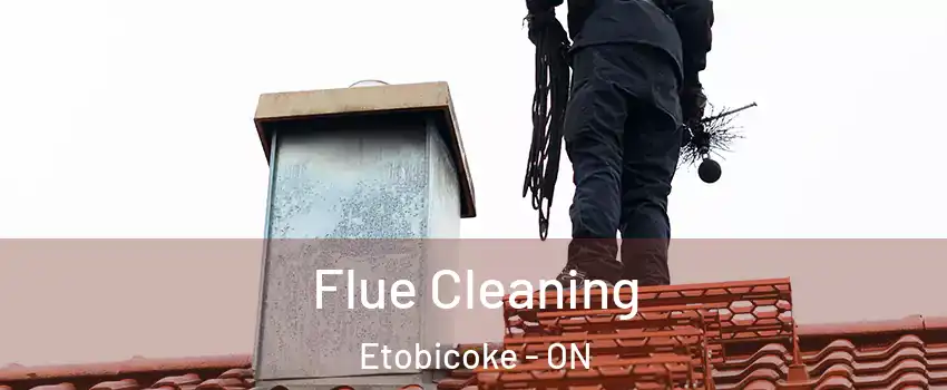 Flue Cleaning Etobicoke - ON